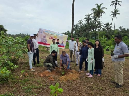 Cleanliness and Plantation Drive (4)