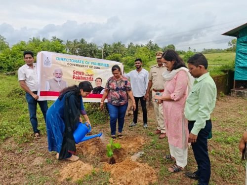 Cleanliness and Plantation Drive (7)