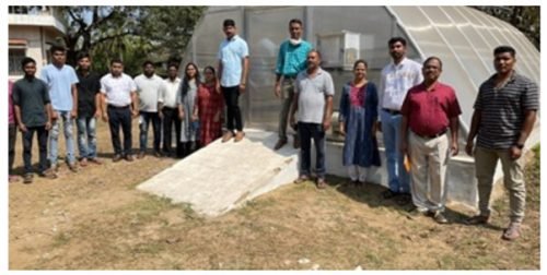 Green House Solar Drying Platform (3)